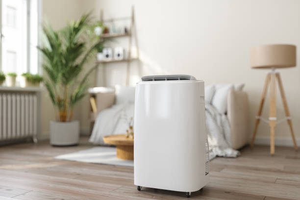 Best HVAC air duct cleaning  in Auburndale, FL